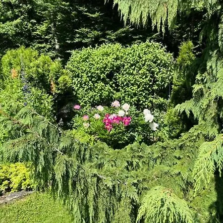Haus Rosanna - In Velden Pensjonat 3*